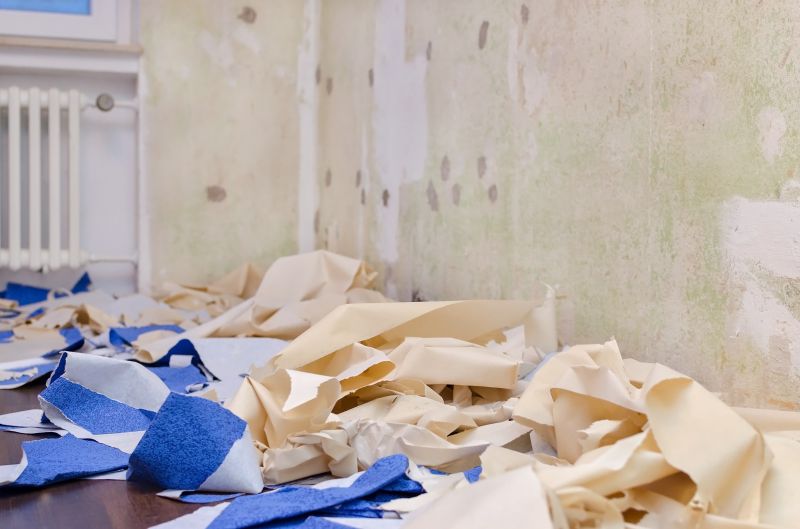 Paint Stripping Service detail